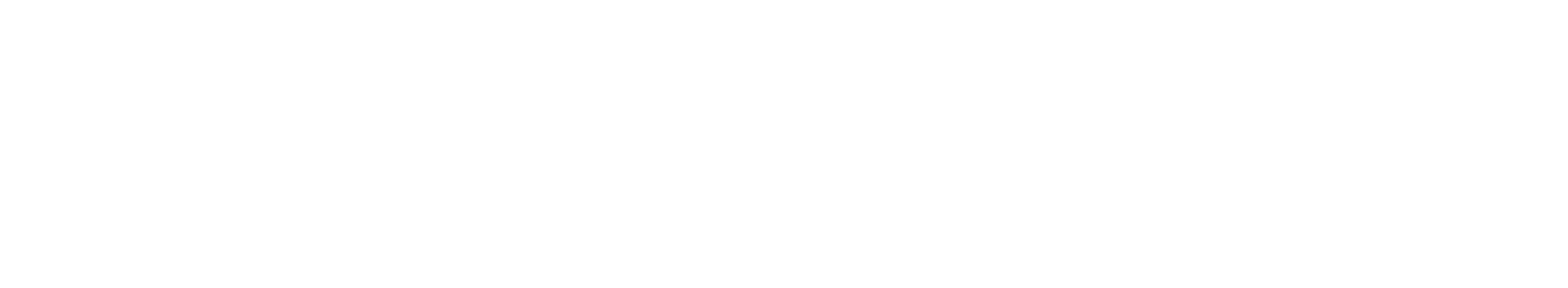 瑞隆安健康产业集团